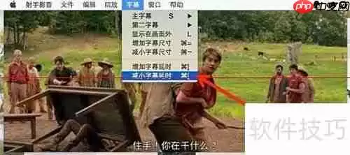射手播放器自动匹配字幕方法