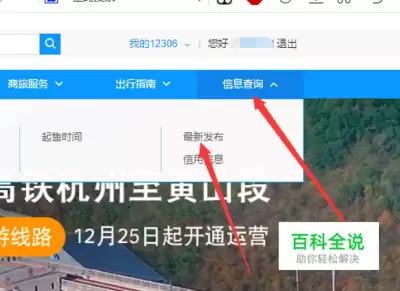 铁路12306购票页面雪.宠.静信号是什么