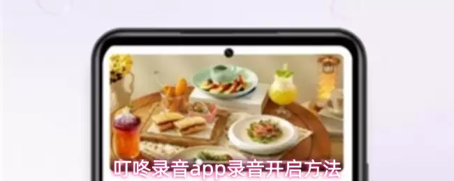 叮咚录音app录音开启方法