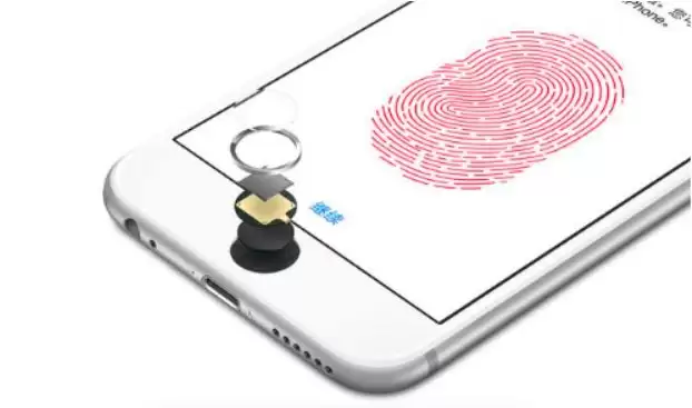 苹果会砍断Touch ID吗?Touch ID是否会被取消? 苹果会砍断Touch ID吗?Touch ID是否会被取消?
