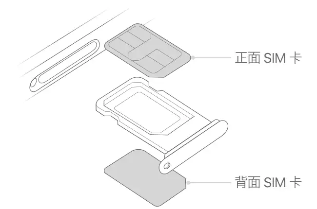 如何在 iPhone 11/11 Pro 上设置和区分主卡和副卡? 如何在 iPhone 11/11 Pro 上设置和区分主卡和副卡?