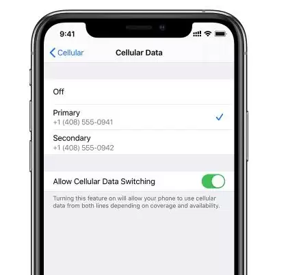 如何在 iPhone 11/11 Pro 上设置和区分主卡和副卡? 如何在 iPhone 11/11 Pro 上设置和区分主卡和副卡?