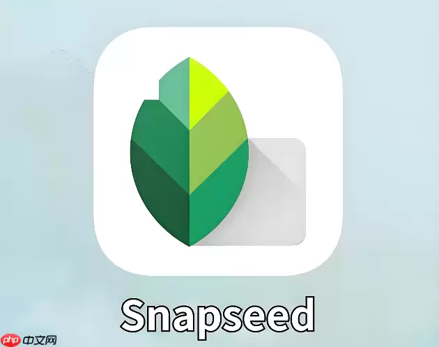 Snapseed怎么抹掉图片上的文字和水印