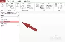access如何删除特定数据