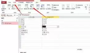 access如何删除特定数据
