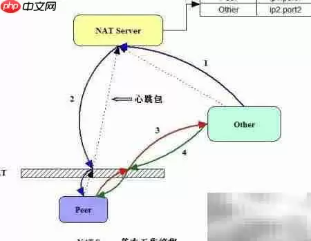 NAT穿透原理与应用解析
