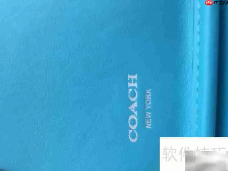 COACH 19914真假鉴别技巧