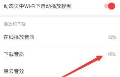 网易云音乐怎么下载mp3格式