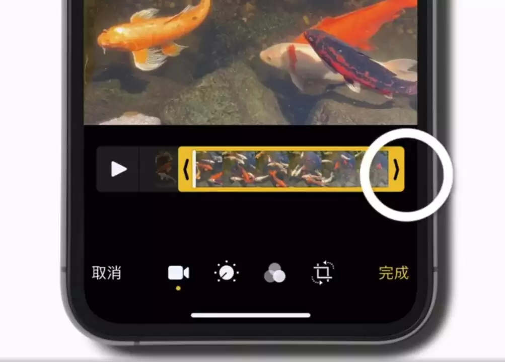 iOS 13 使用技巧:在 iPhone 上像裁剪照片那样裁剪视频 iOS 13 使用技巧:在 iPhone 上像裁剪照片那样裁剪视频