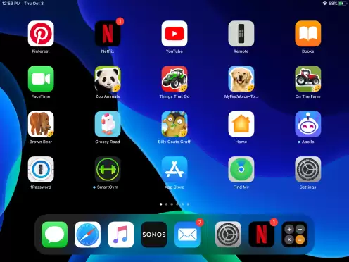 iPadOS 教程:如何使 iPad 应用程序图标和文本变得更大? iPadOS 教程:如何使 iPad 应用程序图标和文本变得更大?