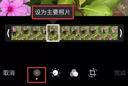 iPhone 11/11 Pro 编辑实况照片的三个小技巧 iPhone 11/11 Pro 编辑实况照片的三个小技巧