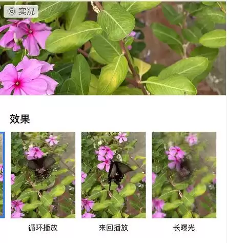 iPhone 11/11 Pro 编辑实况照片的三个小技巧 iPhone 11/11 Pro 编辑实况照片的三个小技巧