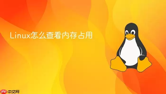Linux怎么查看内存占用