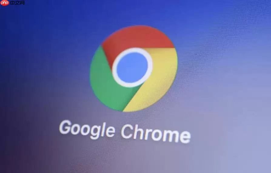 Google Chrome怎么开启深色模式_谷歌浏览器皮肤主题更换教程【详解】