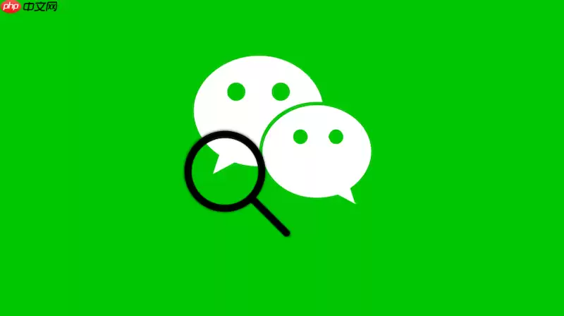 电脑微信找不到传输助手?左下角这个开关必须打开