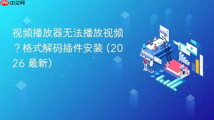 视频播放器无法播放视频？格式解码插件安装 (2026 最新)