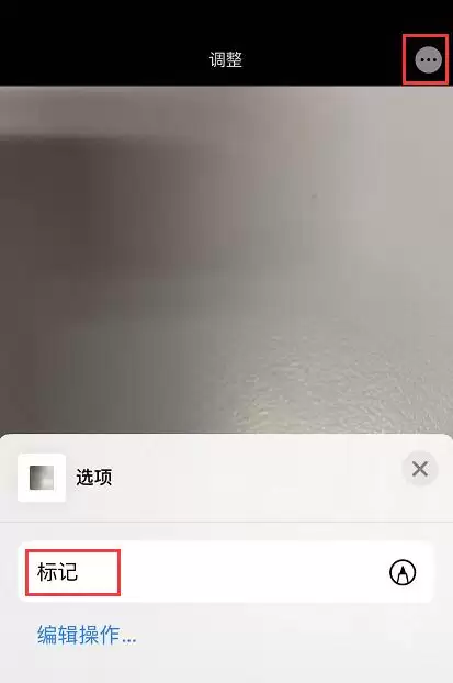 如何使用 iPhone “标记”功能为照片添加文字? 如何使用 iPhone “标记”功能为照片添加文字?