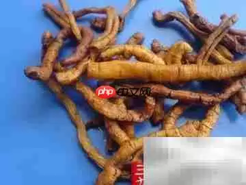 中医秘方改善睡眠