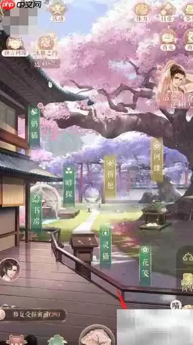 灵猫后院鉴宝派遣指南