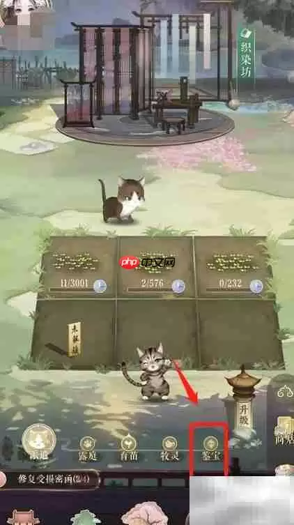 灵猫后院鉴宝派遣指南