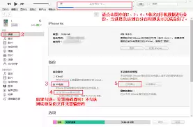 如何把iTunes备份导入新手机