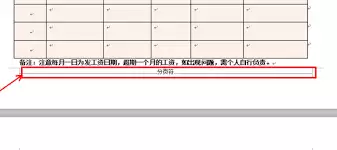WPS如何删除多余空白页