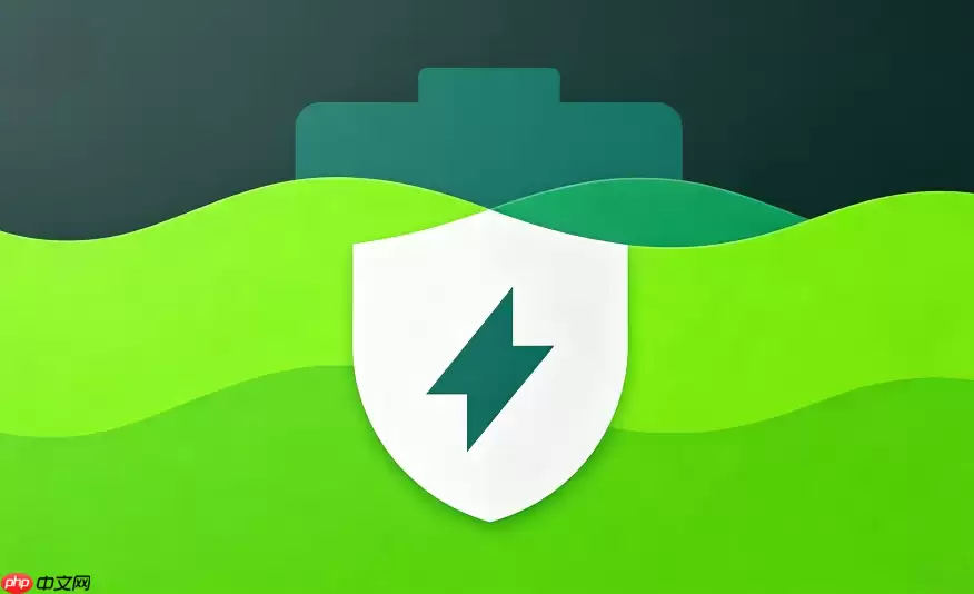 AccuBattery设置界面截图