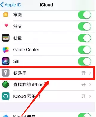 iPhone 11设置iCloud钥匙串方法教程 iPhone 11设置iCloud钥匙串方法教程