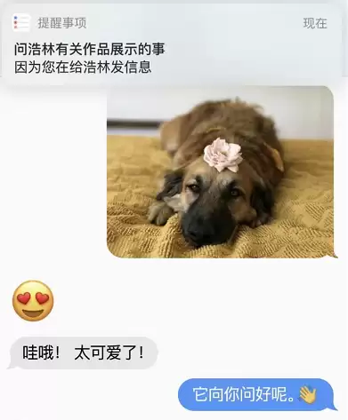 升级 iOS 13 后,这些操作你会了吗? 升级 iOS 13 后,这些操作你会了吗?