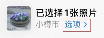 iOS 13 隐私保护:在共享照片前隐藏位置信息 iOS 13 隐私保护:在共享照片前隐藏位置信息