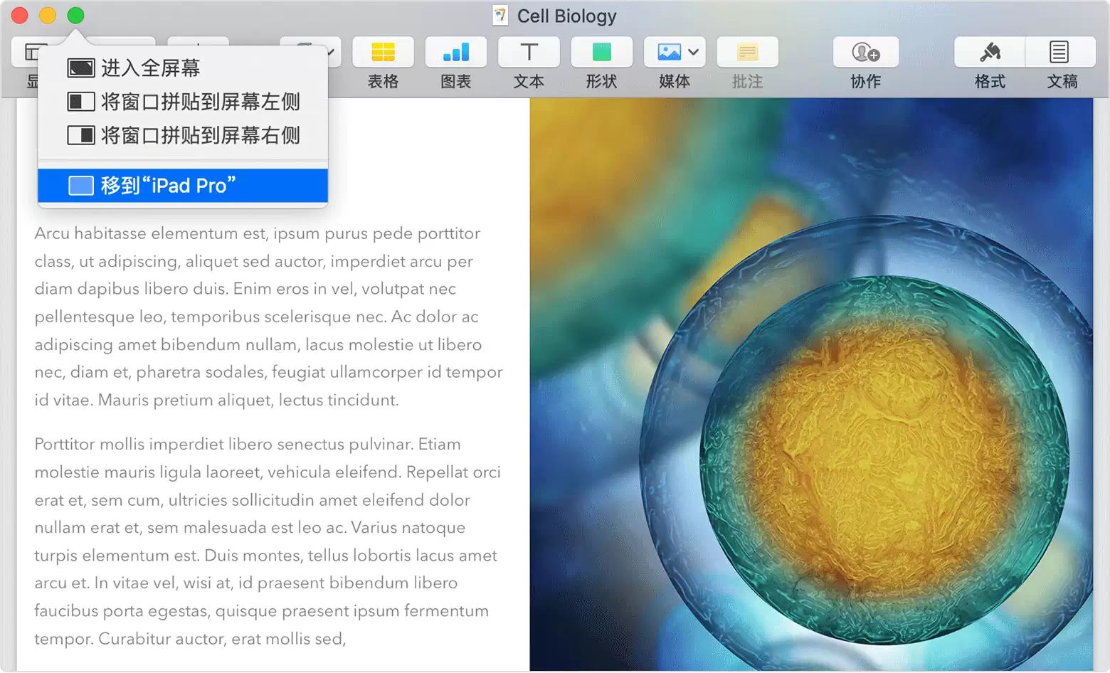 如何借助“随航”功能将电脑画面转移至 iPad? 如何借助“随航”功能将电脑画面转移至 iPad?