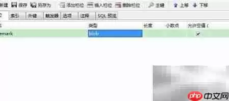 Ja va处理Blob对象详解