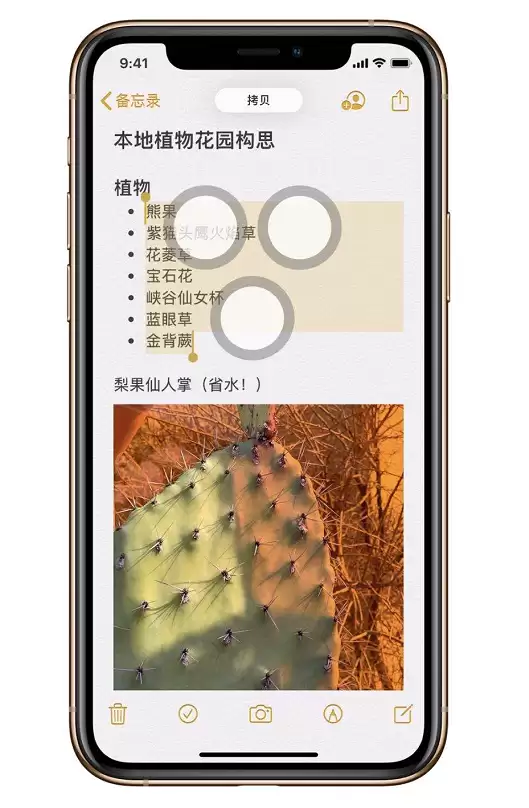 iOS 13 的三指快捷操作怎么用？
