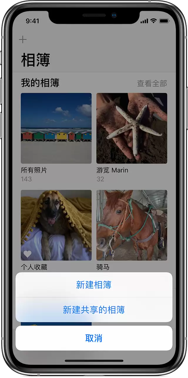 iPhone 如何创建和管理共享相簿? iPhone 如何创建和管理共享相簿?
