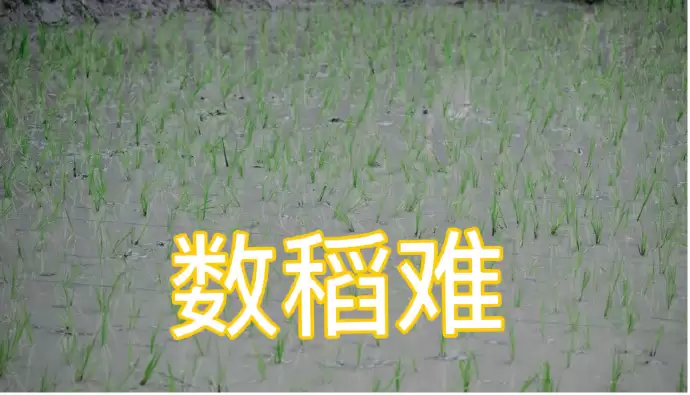 1243066e-29da-4e00-815c-689311cb3342.png