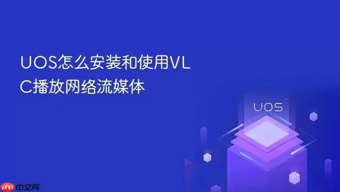 UOS怎么安装和使用VLC播放网络流媒体