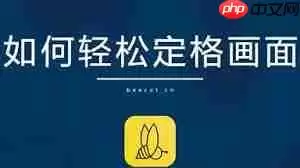 如何缩放蜜蜂剪辑视频画面
