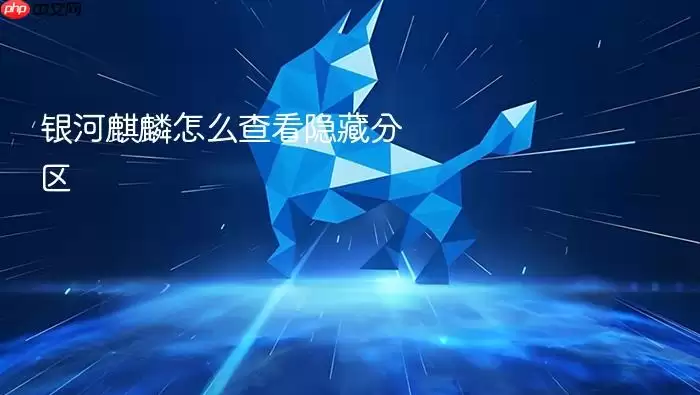 银河麒麟怎么查看隐藏分区