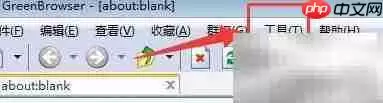 Green Browser自动刷新设置方法