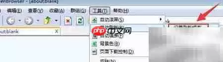 Green Browser自动刷新设置方法