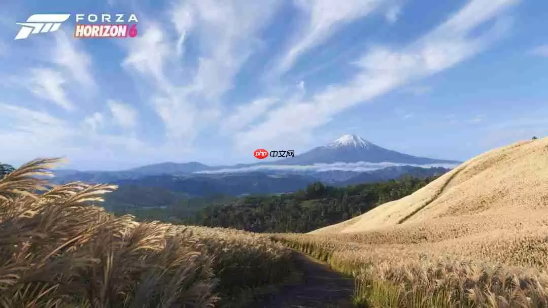 《极限竞速:地平线6》标准版、豪华版和尊享版对比