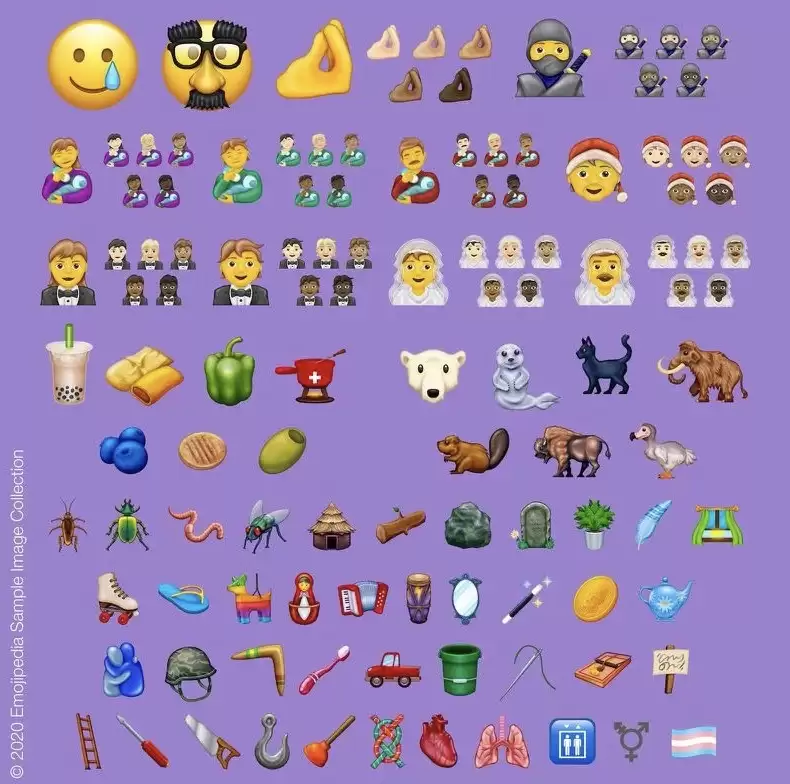 iOS 14 将支持哪些设备?与 iOS 13 一致 iOS 14 将支持哪些设备?与 iOS 13 一致