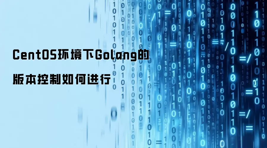 CentOS环境下Golang的版本控制如何进行