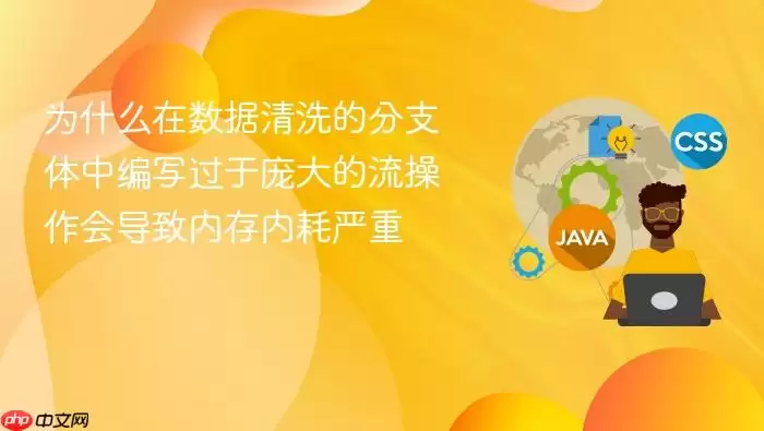 为什么在数据清洗的分支体中编写过于庞大的流操作会导致内存内耗严重