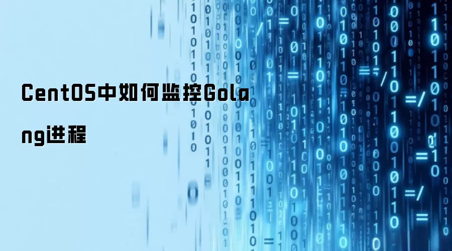 CentOS中如何监控Golang进程