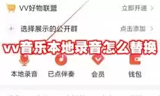 vv音乐本地录音位置在哪