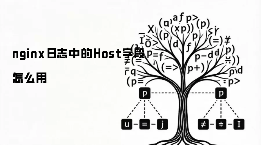 nginx日志中的Host字段怎么用