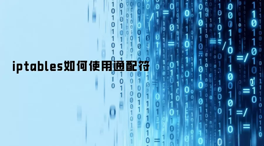 iptables如何使用通配符