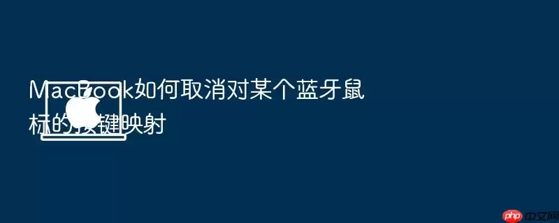 MacBook如何取消对某个蓝牙鼠标的按键映射