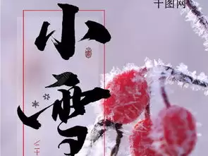 Vidu做节气海报动态视频效果怎么样